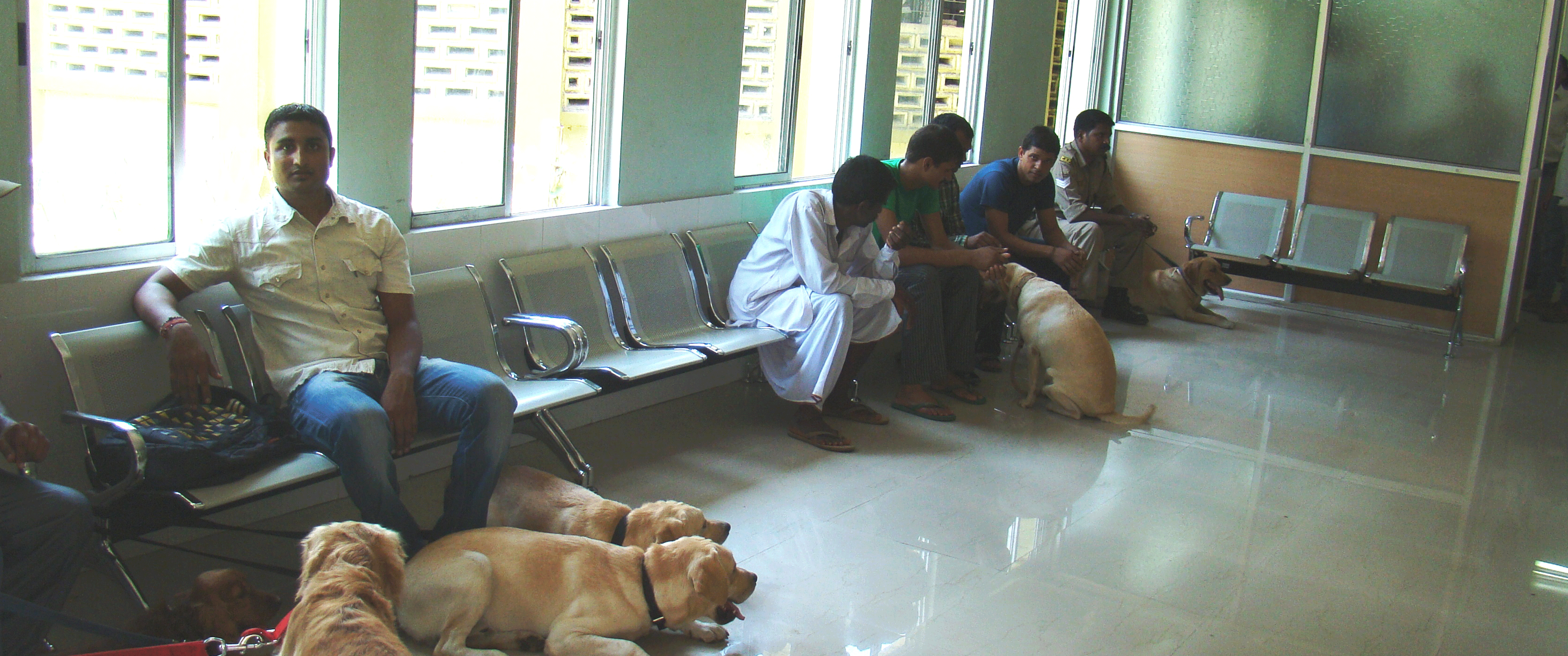 veterniary clinic